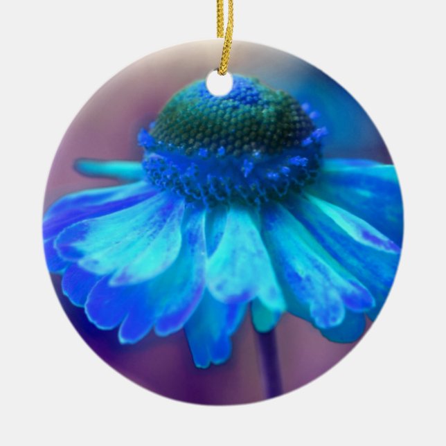 De Cerâmica Ornamento Flor Zinnia Azul Suave (Frente)