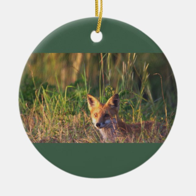 De Cerâmica Ornamento Fotográfico Fox (Frente)