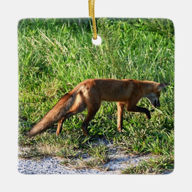 De Cerâmica Ornamento Fotográfico Fox (Frente)