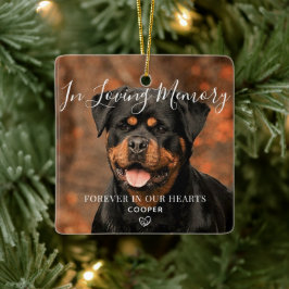 De Cerâmica Ornamento Fotográfico Personalizado Pet Memorial