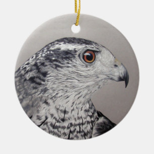 De Cerâmica ornamento Goshawk