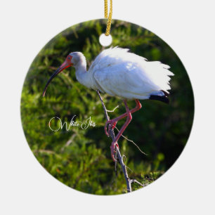 De Cerâmica Ornamento Ibis Branco
