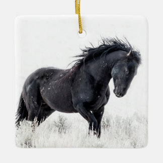 De Cerâmica Ornamento "Ice Dancer"