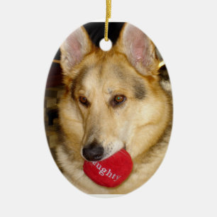 De Cerâmica Ornamento impertinente do cão
