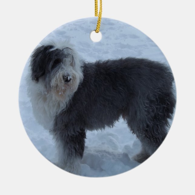 De Cerâmica Ornamento inglês velho do Sheepdog - cão da neve! (Frente)