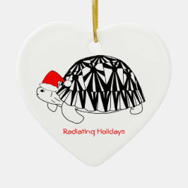 De Cerâmica Ornamento irradiado da tartaruga