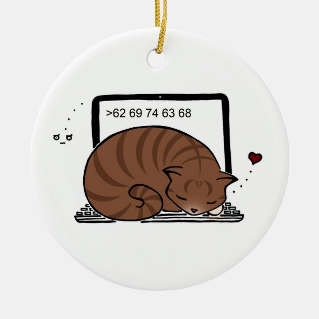 De Cerâmica Ornamento laptop Cat Bed (Brown Tabby) (Frente)
