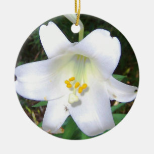 De Cerâmica Ornamento Lily Branco