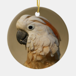 De Cerâmica Ornamento molucano do Cockatoo