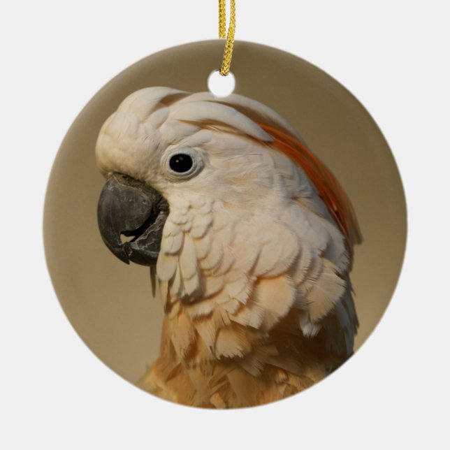 De Cerâmica Ornamento molucano do Cockatoo (Frente)