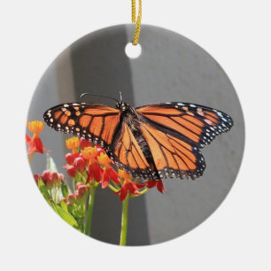 De Cerâmica Ornamento Monarca