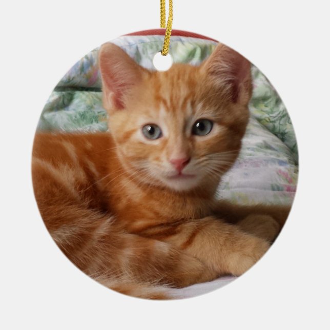 De Cerâmica Ornamento Orange Tabby Kitten (Frente)