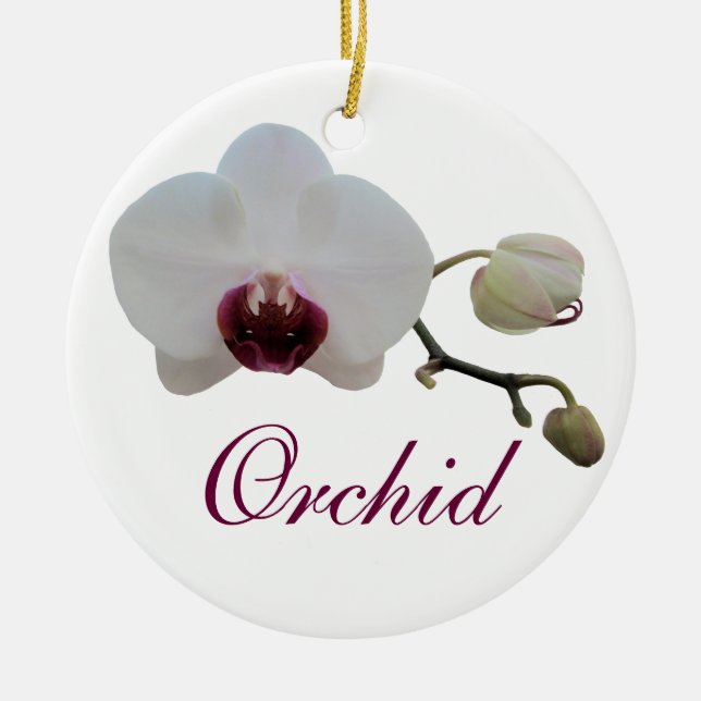 De Cerâmica Ornamento - Orquídea Branca Bipada por Ruby (Frente)