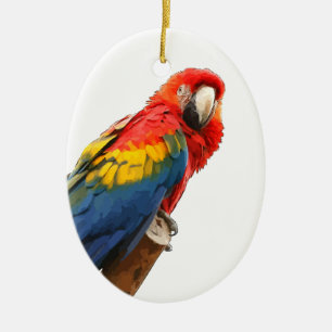 De Cerâmica Ornamento Oval Arara-vermelha
