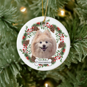 De Cerâmica Ornamento Pet Personalizado Pomerano