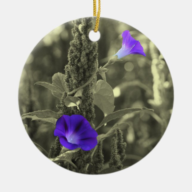 De Cerâmica Ornamento preto da flor branca das corriolas (Frente)