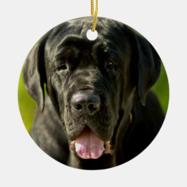 De Cerâmica Ornamento preto do Mastiff (Frente)