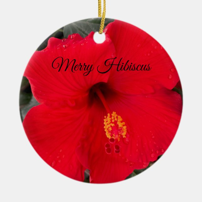 De Cerâmica Ornamento Red Hibiscus (Frente)