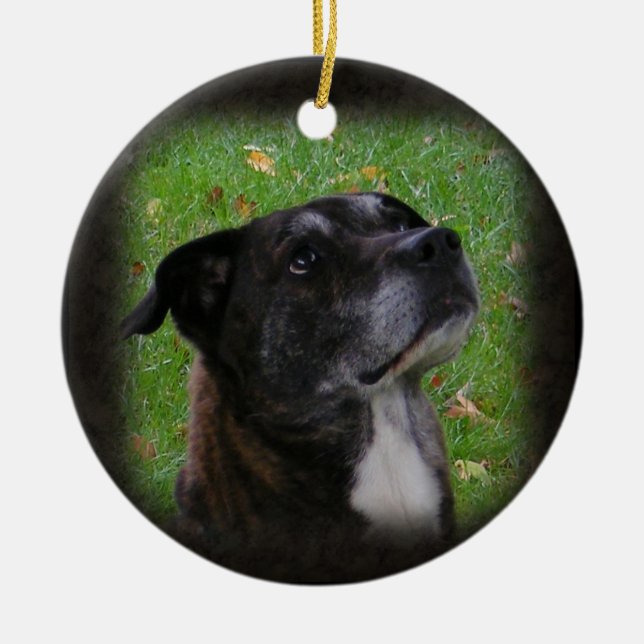 De Cerâmica Ornamento regular do ~ do cão (Frente)