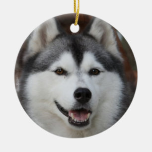 De Cerâmica Ornamento ronco do cão