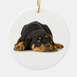 De Cerâmica Ornamento Rottweiler