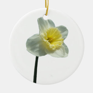 De Cerâmica Ornamento Ruffled do ~ do Daffodil