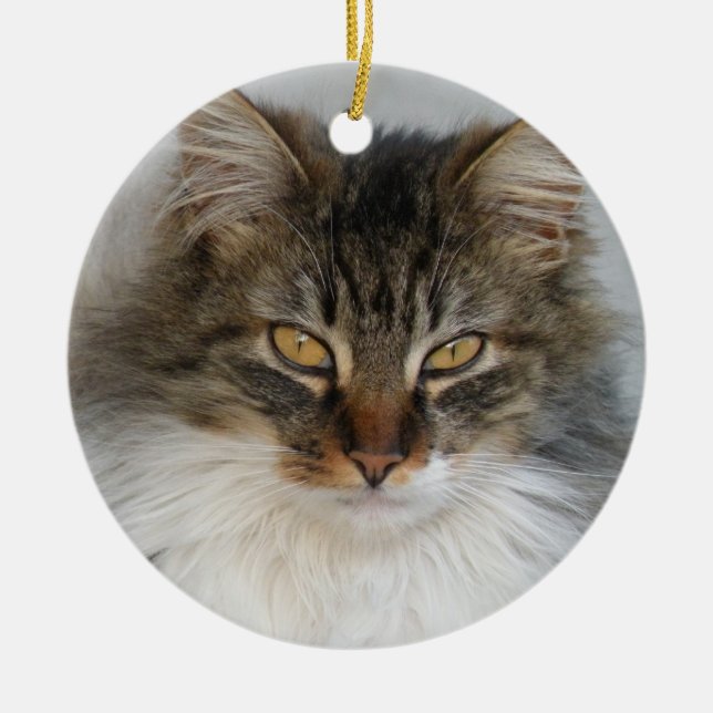 De Cerâmica Ornamento Tabby Cat (Frente)