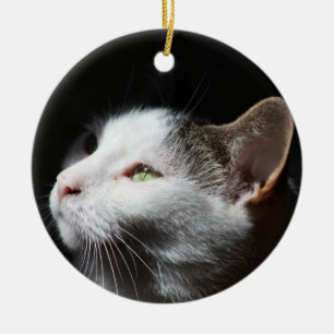 De Cerâmica Ornamento Tabby Cat