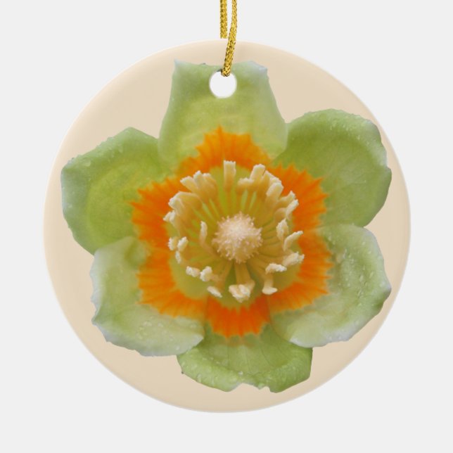De Cerâmica Ornamento - Tulip Poplar Tulip na Creme (Frente)