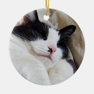 De Cerâmica Ornamento Tuxedo Cat