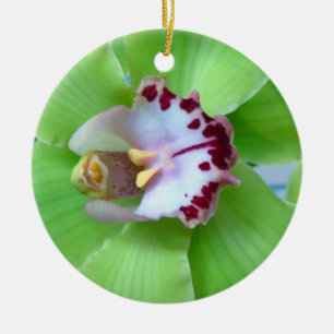 De Cerâmica Ornamento verde da orquídea