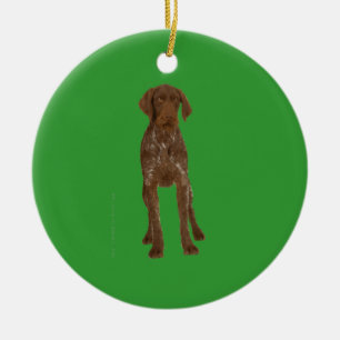 De Cerâmica Ornamento Wirehaired alemão do ponteiro