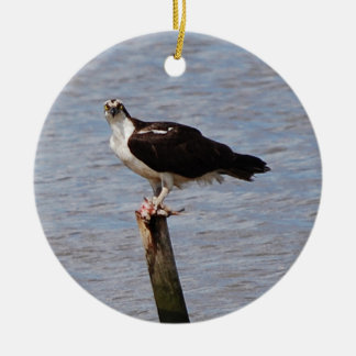 De Cerâmica Osprey com ornamento dos peixes