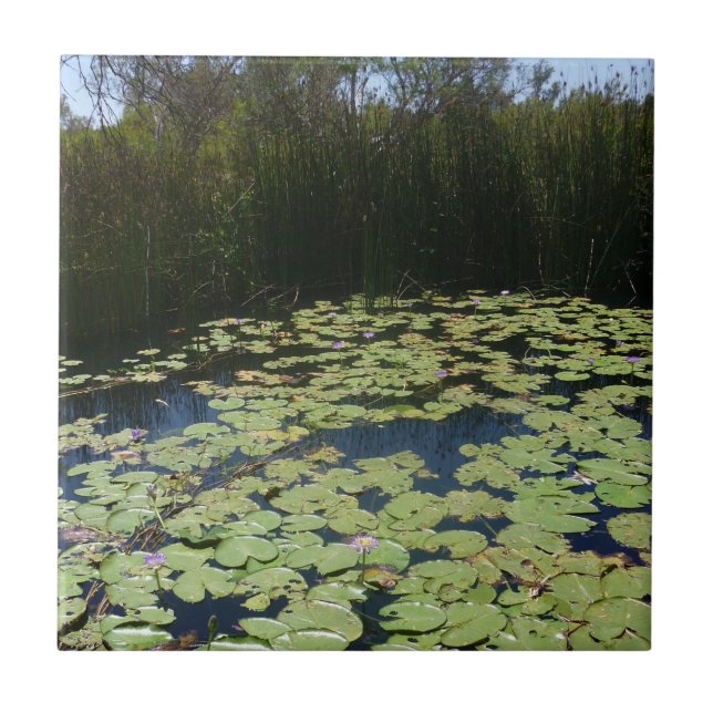 De Cerâmica Outback Lily Pads Azulejo Cerâmico (Frente)