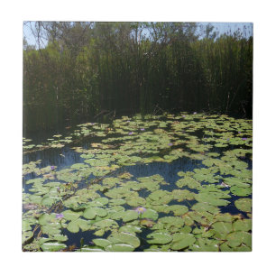 De Cerâmica Outdoors Lily Pads Azulejo cerâmico