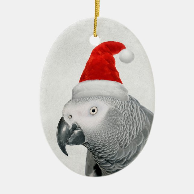 De Cerâmica Papagaio-Cinza africano em Ornamento Santa Hat (Frente)