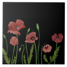 Papagaios vermelhos no azulejo da cozinha preta