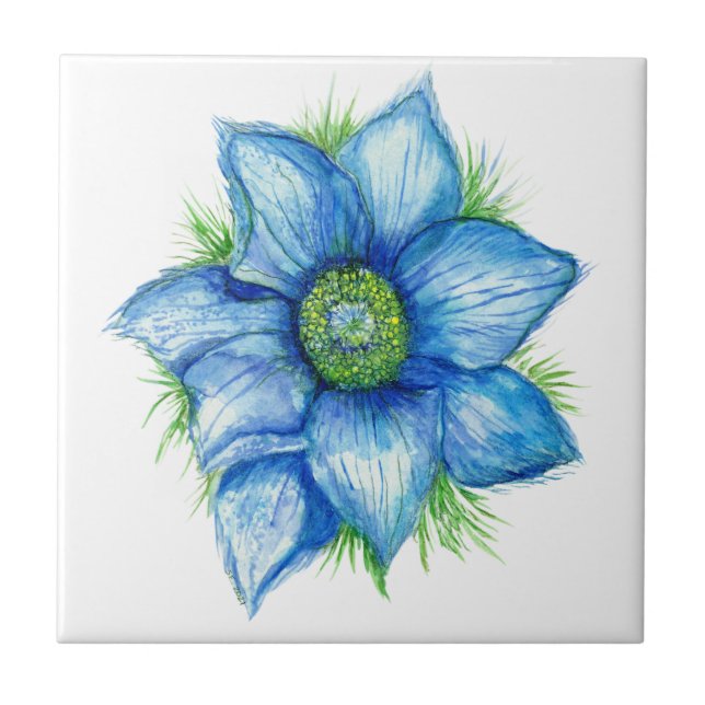 De Cerâmica Pasque Flor no Azulejo Cerâmico Azul (Frente)