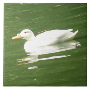 De Cerâmica Pato no Azulejo d'água