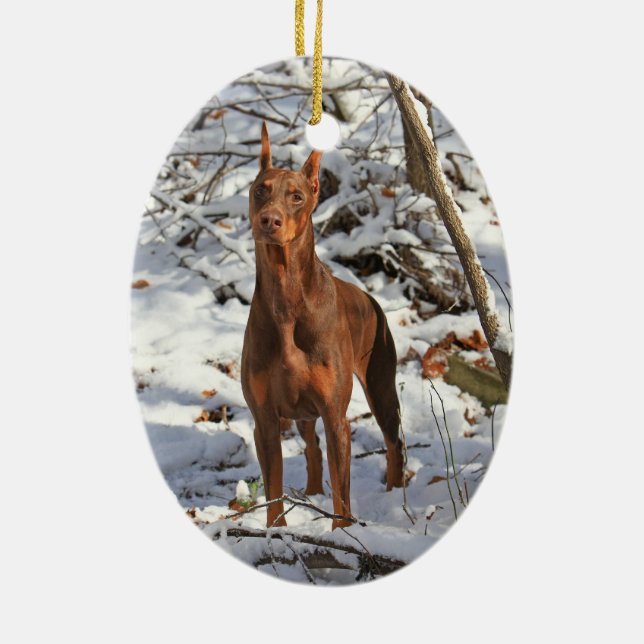 De Cerâmica Pinscher do Doberman no ornamento da neve (Verso)