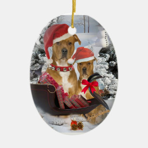 De Cerâmica Pitbull com o ornamento do trenó do papai noel