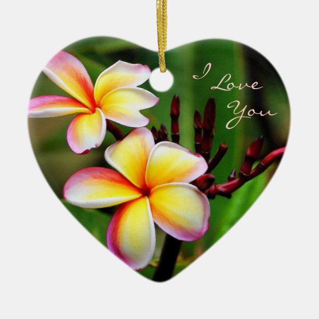 De Cerâmica Plumeria do arco-íris, eu te amo ornamento (Frente)