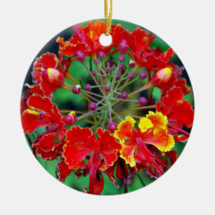 De Cerâmica Poinciana (ohai-ali'i) Ornamento da Flor Havaiana
