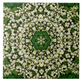 De Cerâmica Primavera Elderberry Flowers Azulejo cerâmico