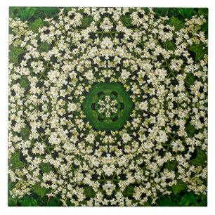 De Cerâmica Primavera Elderberry Flowers Azulejo cerâmico