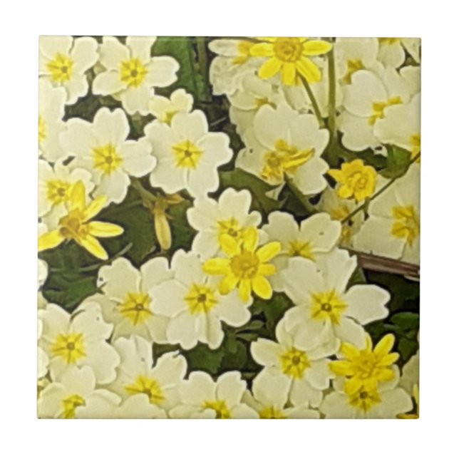 De Cerâmica Primavera Primroses Azulejo cerâmico (Frente)