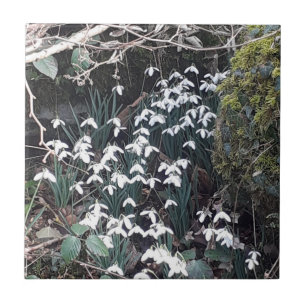 De Cerâmica Primavera Snowdrops Azulejo cerâmico