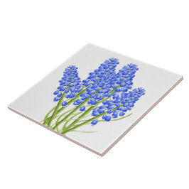 De Cerâmica Primavera terrestre sobre um Azulejo cerâmico (M)