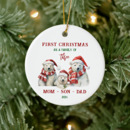 De Cerâmica Primeiro Natal Como Ornamento Familiar