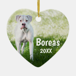 De Cerâmica Pugilista branco ornamento personalizado do cão d